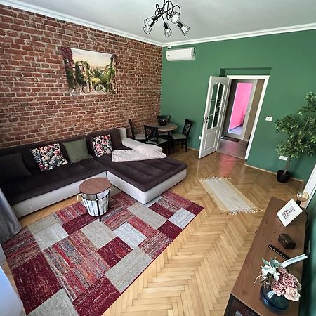 Asha Central Apartment 티미쇼아라 외부 사진