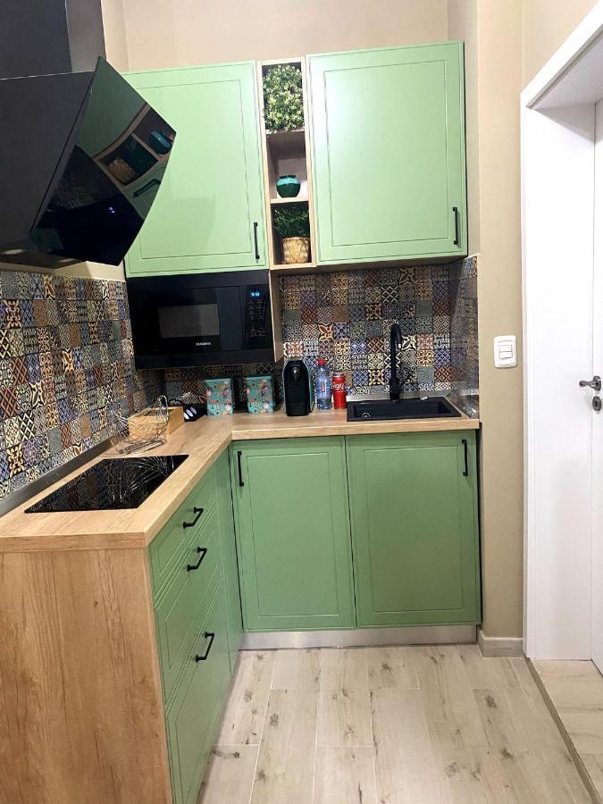 Asha Central Apartment 티미쇼아라 외부 사진